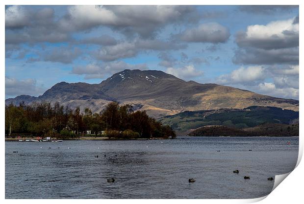 Spring on Ben Lomond Print by Michael Moverley