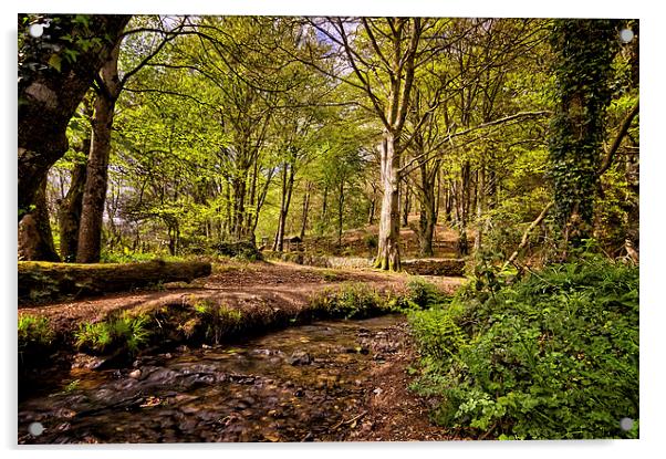 Spring woodland Acrylic by Dave Wilkinson North Devon Ph