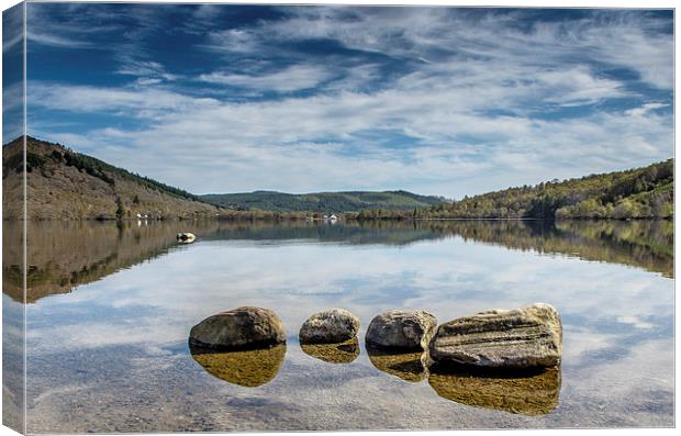 Reflections on Loch Achilty Canvas Print by Michael Moverley