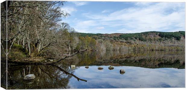 Reflections on Loch Achilty Canvas Print by Michael Moverley
