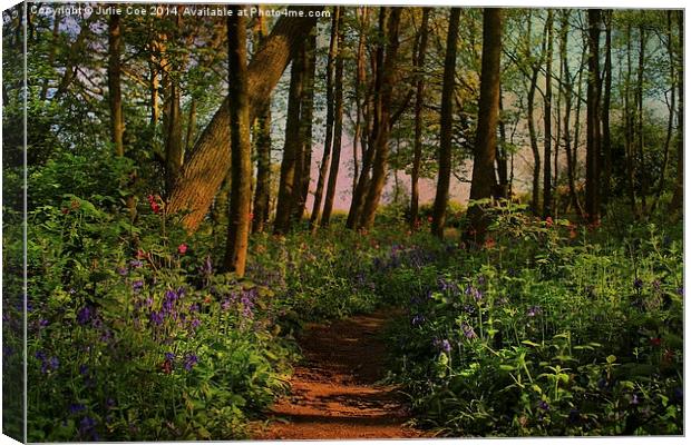 Bluebells and Campions Canvas Print by Julie Coe