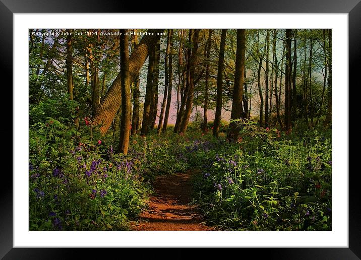 Bluebells and Campions Framed Mounted Print by Julie Coe