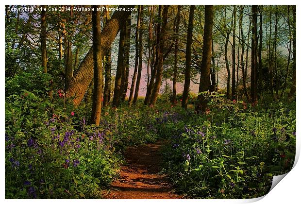 Bluebells and Campions Print by Julie Coe