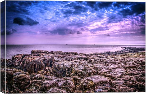 Isle of Wight Looking for fossils Canvas Print by stewart oakes