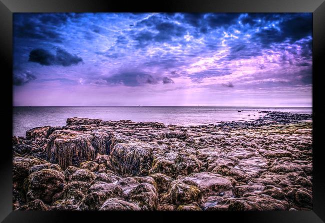 Isle of Wight Looking for fossils Framed Print by stewart oakes