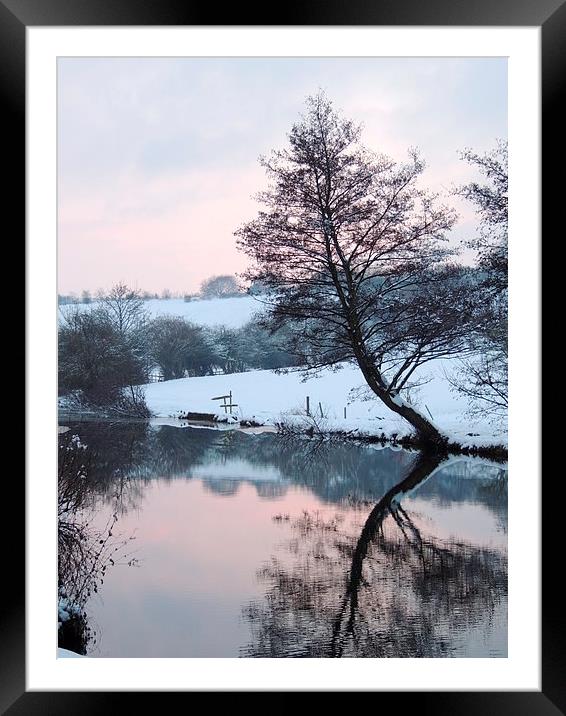 Reflective Wintery Tree Framed Mounted Print by Liz Watson