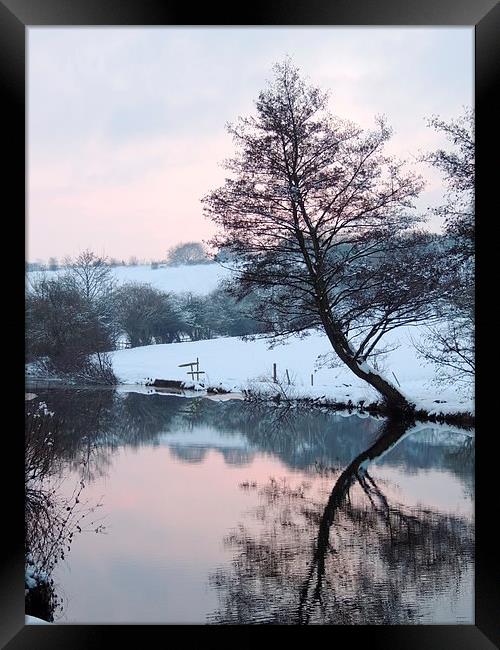 Reflective Wintery Tree Framed Print by Liz Watson