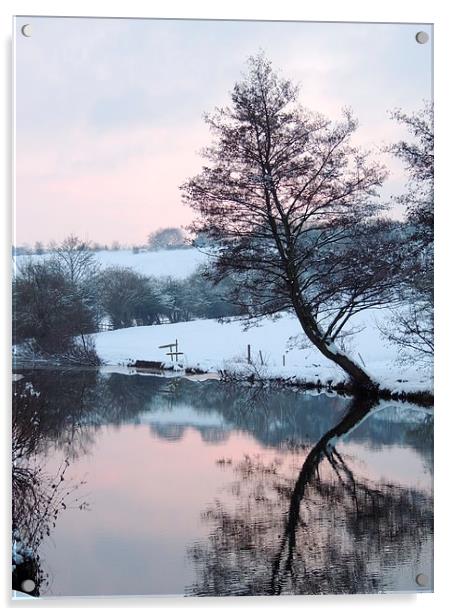 Reflective Wintery Tree Acrylic by Liz Watson