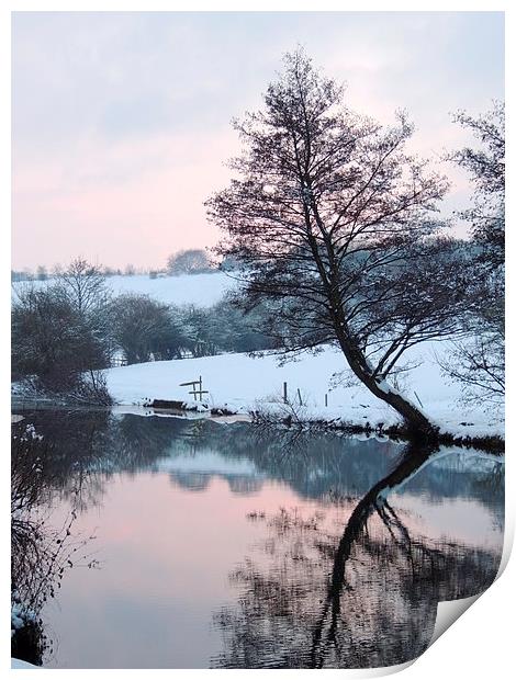 Reflective Wintery Tree Print by Liz Watson