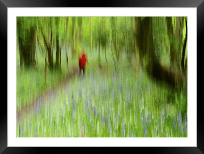 Dreaming of Bluebells Framed Mounted Print by Rob Smith