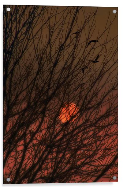 East Of The Sun II Acrylic by Tom York