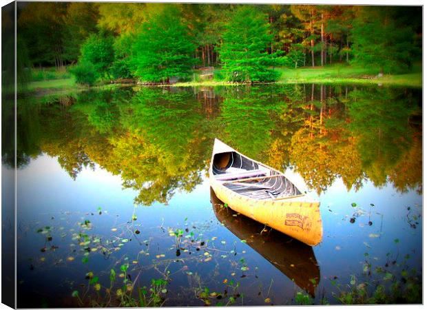 canoe  on the water Canvas Print by Daniel Kesh