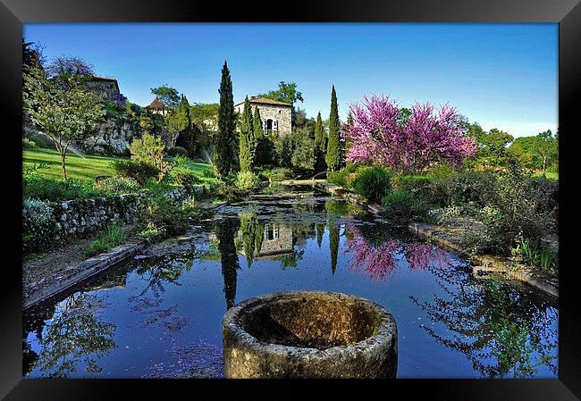 Summer in France Framed Print by Daniel Kesh