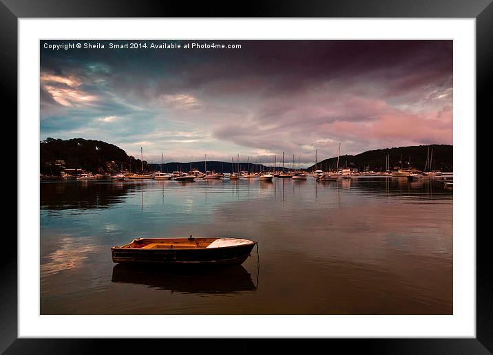 Careel Bay tranquility at dusk Framed Mounted Print by Sheila Smart