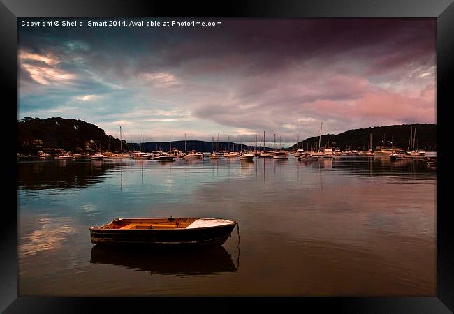 Careel Bay tranquility at dusk Framed Print by Sheila Smart