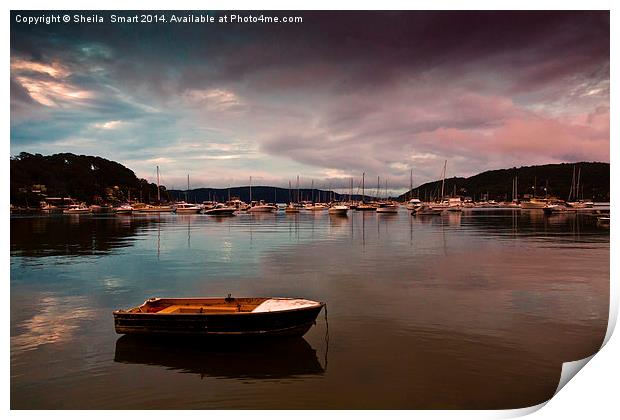 Careel Bay tranquility at dusk Print by Sheila Smart