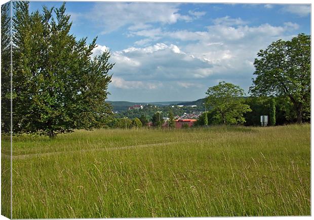 From grass outgrown Canvas Print by Erzsebet Bak