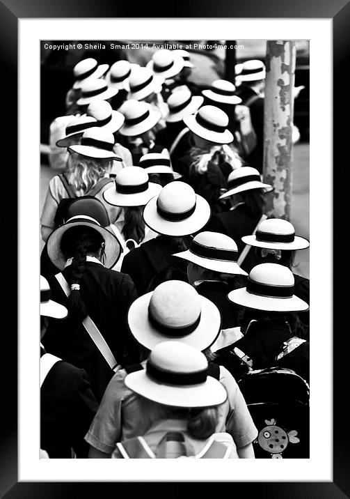 Sea of Hats Framed Mounted Print by Sheila Smart