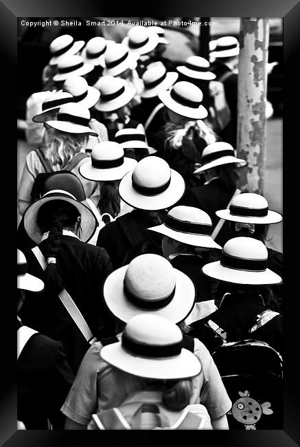 Sea of Hats Framed Print by Sheila Smart