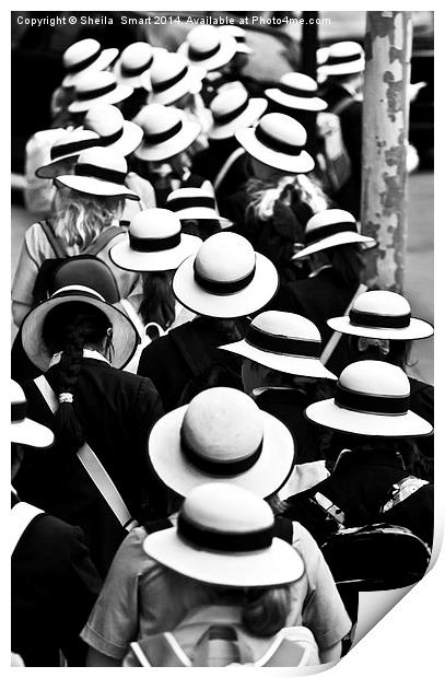 Sea of Hats Print by Sheila Smart