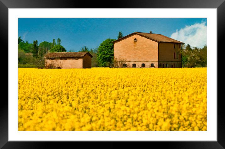 flowery field Framed Mounted Print by Guido Parmiggiani