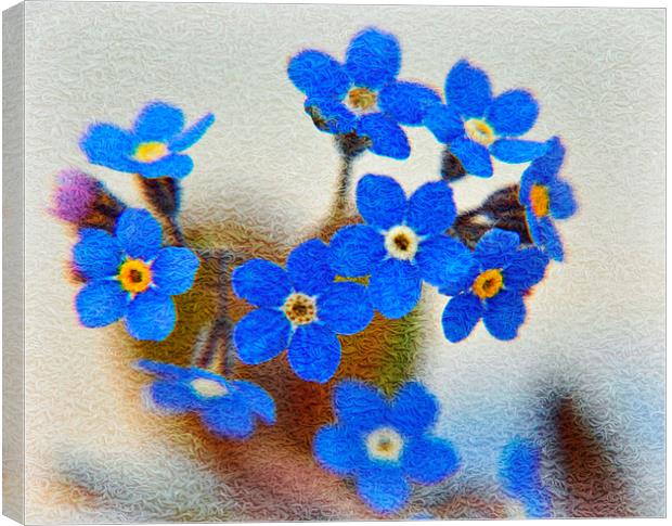 flora blue Canvas Print by sue davies