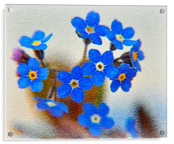 flora blue Acrylic by sue davies