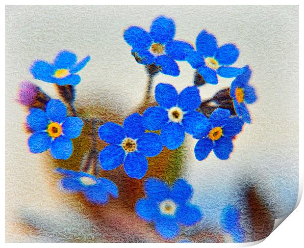 flora blue Print by sue davies