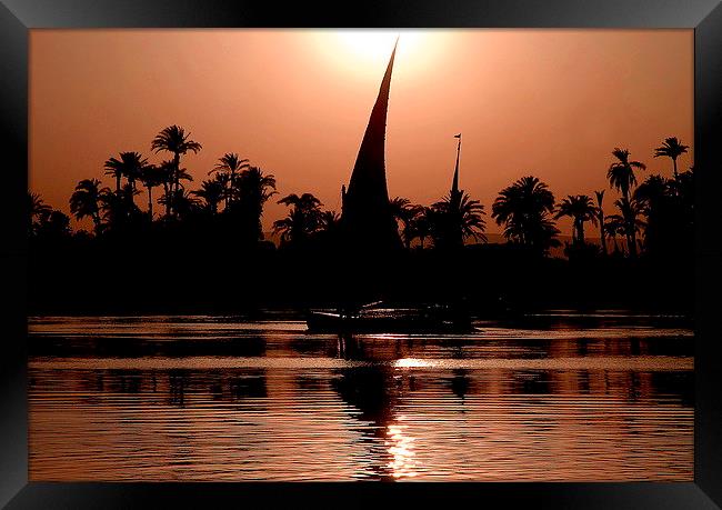 Nile Feluccas at Sunset Framed Print by Jacqueline Burrell
