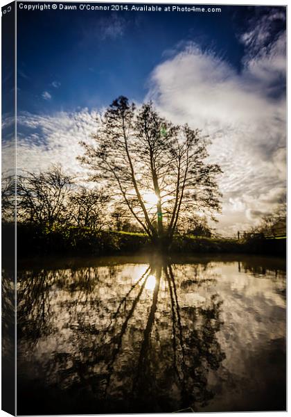 River Medway Winter Sun Canvas Print by Dawn O'Connor