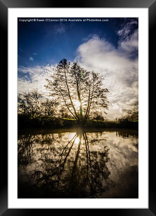 River Medway Winter Sun Framed Mounted Print by Dawn O'Connor