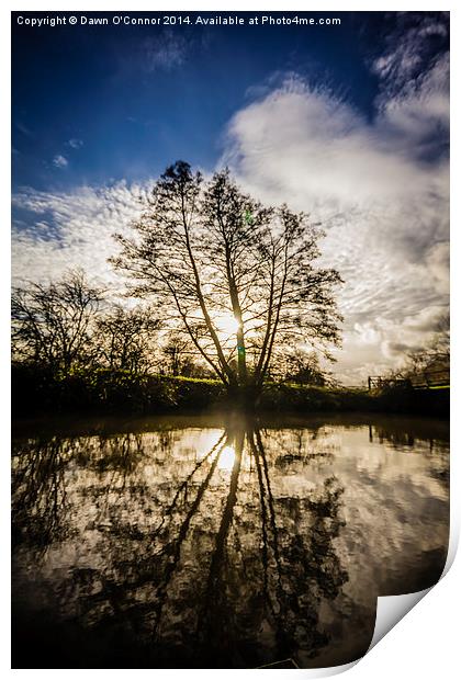 River Medway Winter Sun Print by Dawn O'Connor