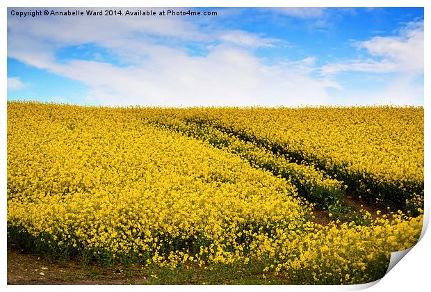 Yellow Field Flowers. Print by Annabelle Ward
