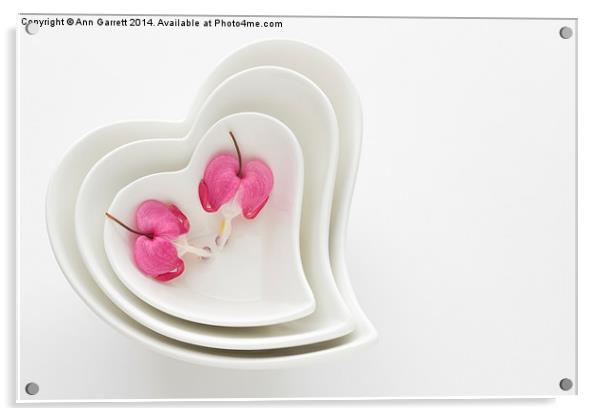 Twin Hearts Acrylic by Ann Garrett