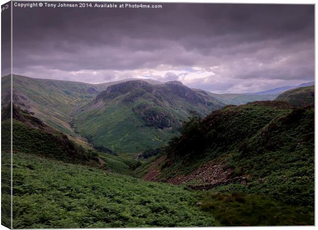 Eagles Cragg From The Langstrath Valley. Canvas Print by Tony Johnson