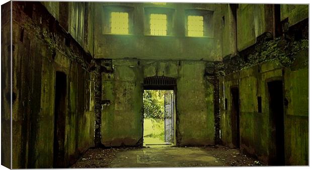 Bodmin Gaol, The Way Out Canvas Print by Lisa PB