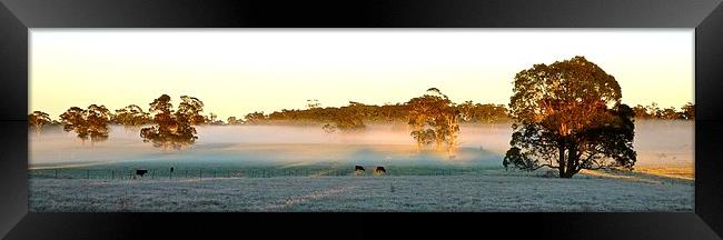 Bowral, NSW Australia, Sun Rise Framed Print by phil wood