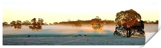 Bowral, NSW Australia, Sun Rise Print by phil wood