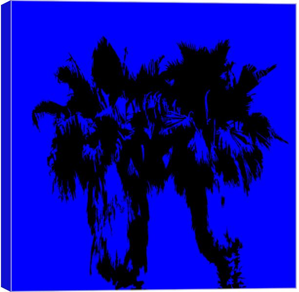 TWO PALM TREES Canvas Print by Robert Happersberg