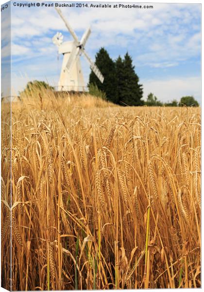 Barley and Woodchurch Windmill in Kent Countryside Canvas Print by Pearl Bucknall