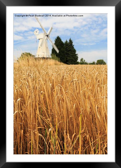 Barley and Woodchurch Windmill in Kent Countryside Framed Mounted Print by Pearl Bucknall