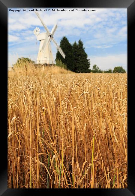 Barley and Woodchurch Windmill in Kent Countryside Framed Print by Pearl Bucknall