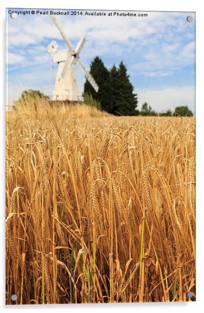 Barley and Woodchurch Windmill in Kent Countryside Acrylic by Pearl Bucknall