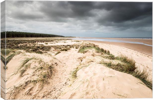 Holkham Beach and Woods Canvas Print by Stephen Mole