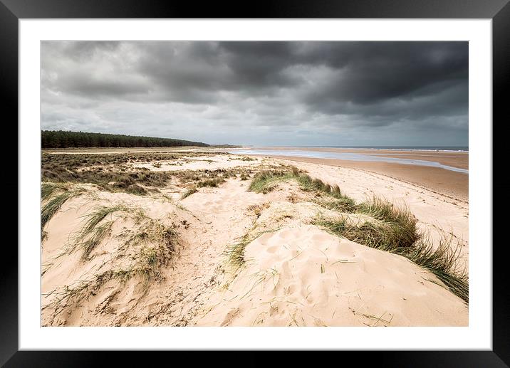 Holkham Beach and Woods Framed Mounted Print by Stephen Mole