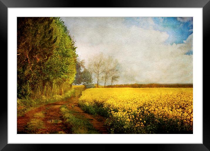 A Kentish Walk Framed Mounted Print by Dawn Cox