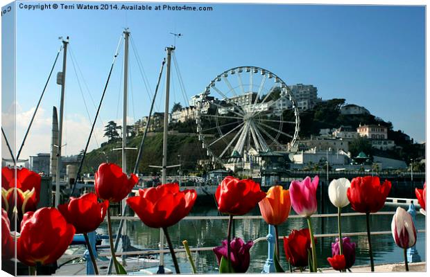 English Riviera Tulips And Wheel Canvas Print by Terri Waters