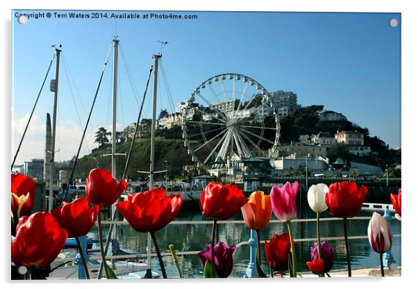 English Riviera Tulips And Wheel Acrylic by Terri Waters