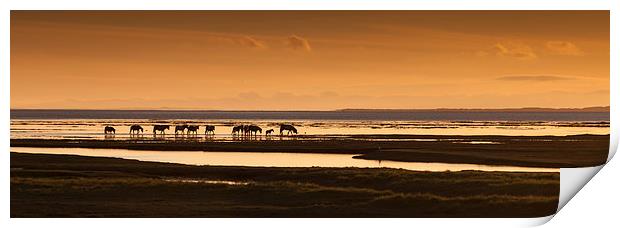 Marsh ponies Print by Leighton Collins