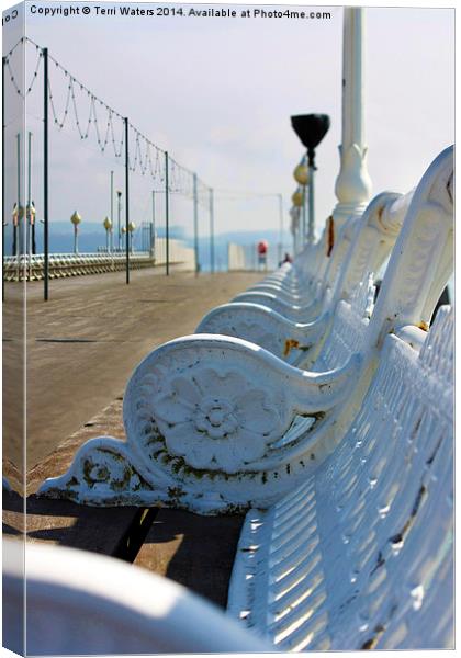 Wrought Iron Benches Torquay Pier Canvas Print by Terri Waters